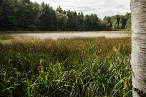 20140921_Lago di Prè_15