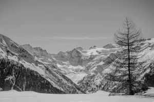 DSC_6939