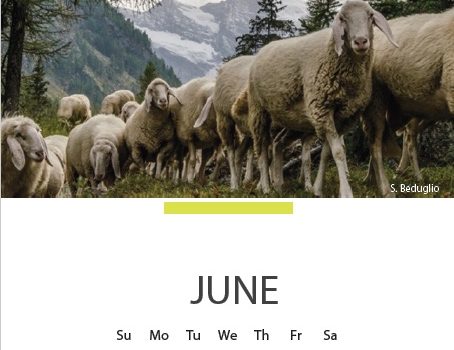 Calendario 2017 degli Amici della Lana