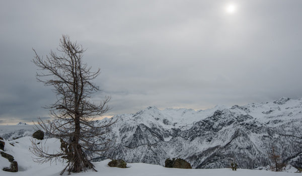 Prime nevi nel Parco del Mont Avic