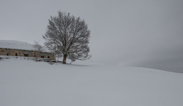 Ultima nevicata? (al quadrato)