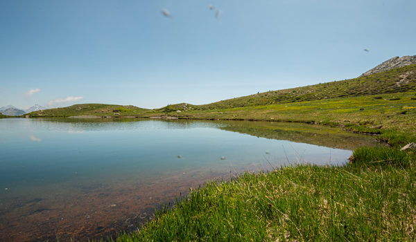 Parco Mont Avic da scoprire Parco Mont Avic da scoprire