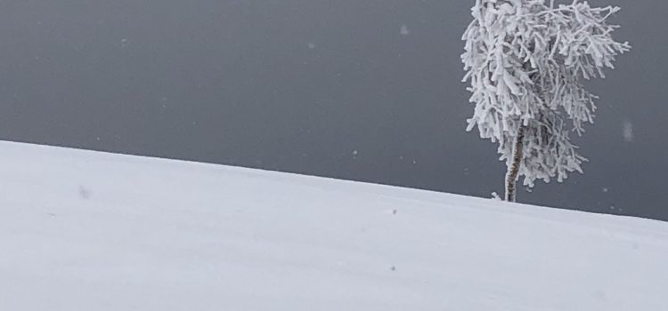 Tra Viona ed Elvo sotto la neve (sarà l’ultima di questo inverno?)