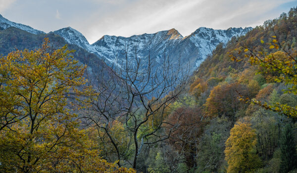 Panorami e foliage tra Valle Cervo e Valsessera (Alpi Biellesi)