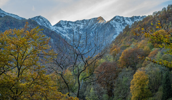 Panorami e foliage tra Valle Cervo e Valsessera (Alpi Biellesi) Panorami e foliage tra Valle Cervo e Valsessera (Alpi Biellesi)